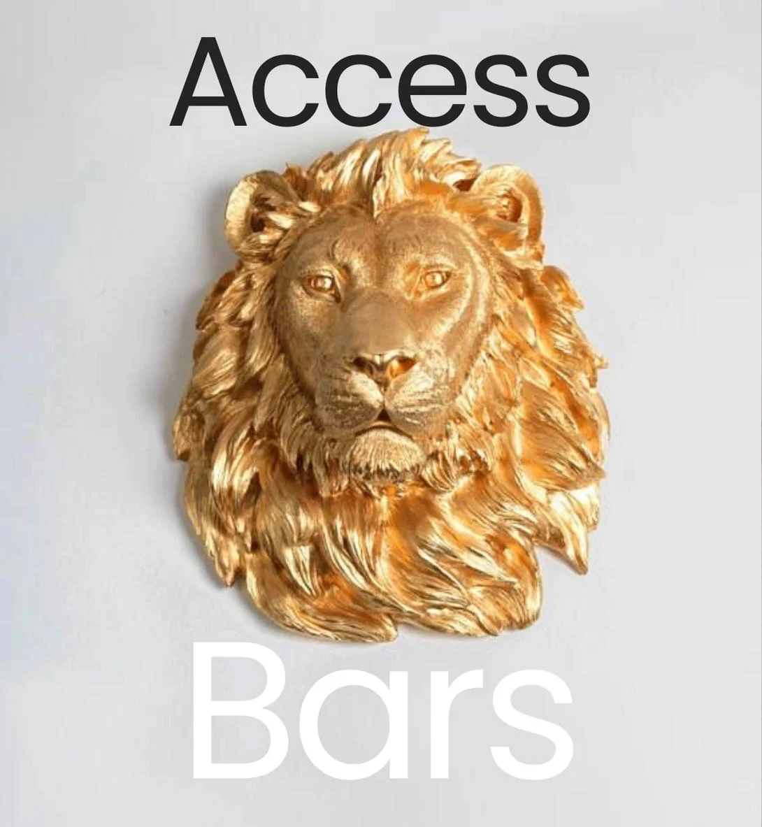Access Bars