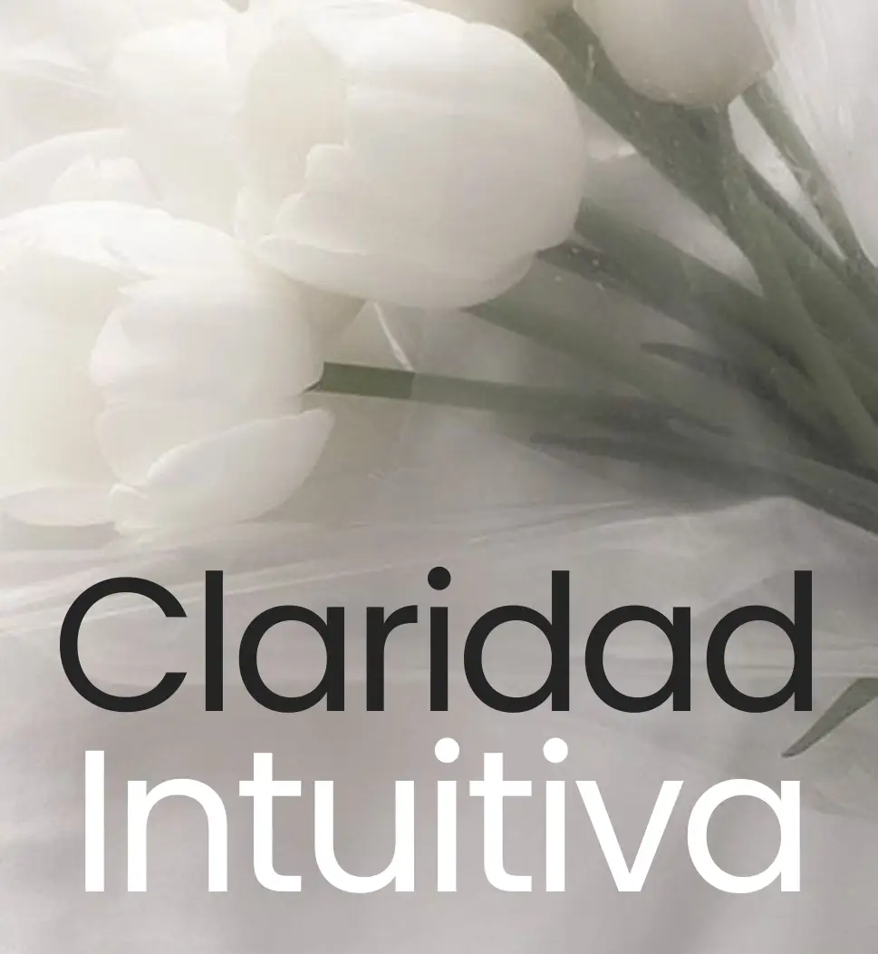 Claridad Intuitiva