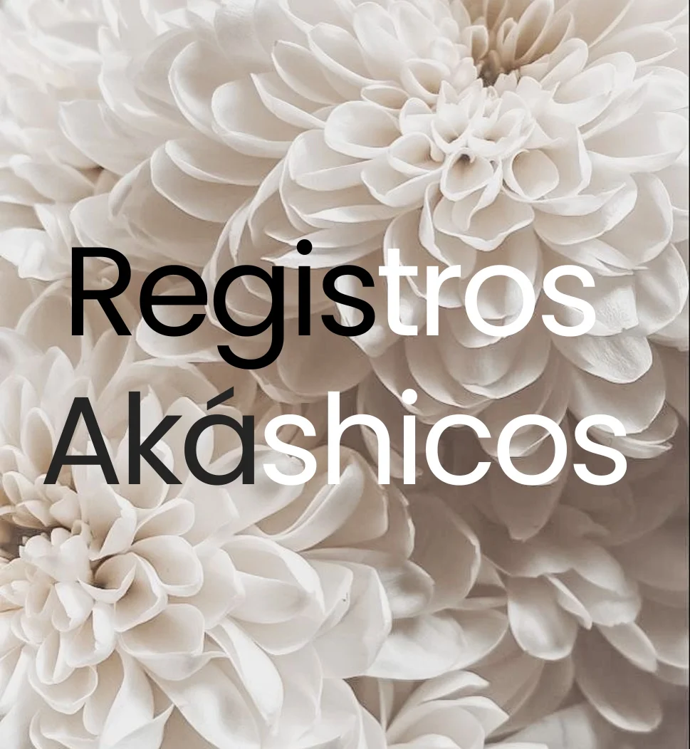 Registros